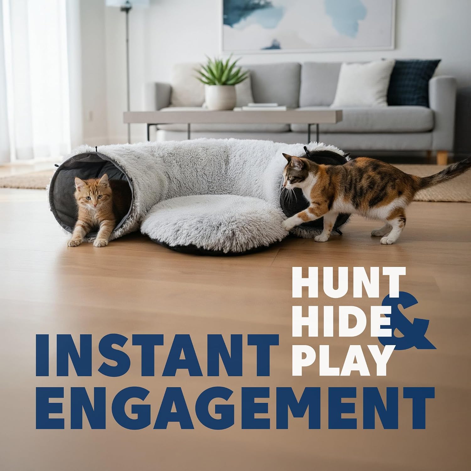 Large Collapsible Cat Donut Tunnel Bed – 3-in-1 Circle Hideaway - Best Pet Care Store