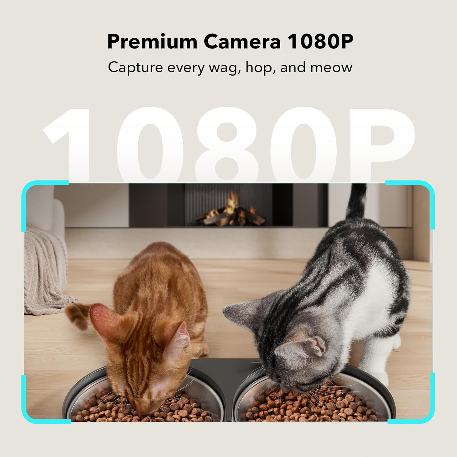 PETLIBRO Automatic Cat Feeder with Camera for Two Cats, 1080P HD Video with Night Vision, 5G Wifi Pet Feeder with 2-Way Audio for Cat & Dog, Low Food & Motion & Sound Alerts, Dual Tray, Black 5L - Best Pet Care Store