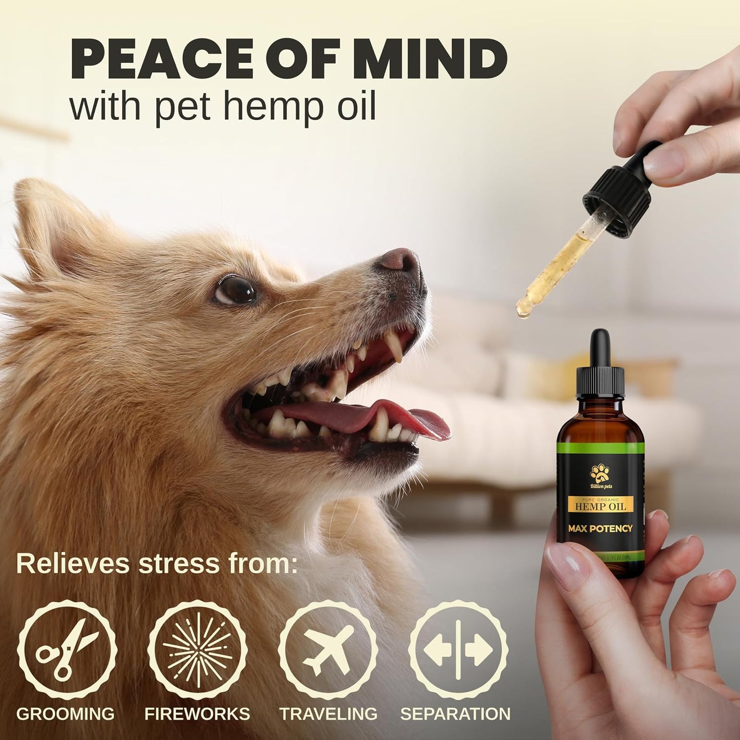 - Hemp Oil for Dogs and Cats - Helps with Anxiety, Pain, Stress, Sleep, Arthritis, Seizures Relief - Hip and Joint Support - Calming Drops Treats - Best Pet Care Store