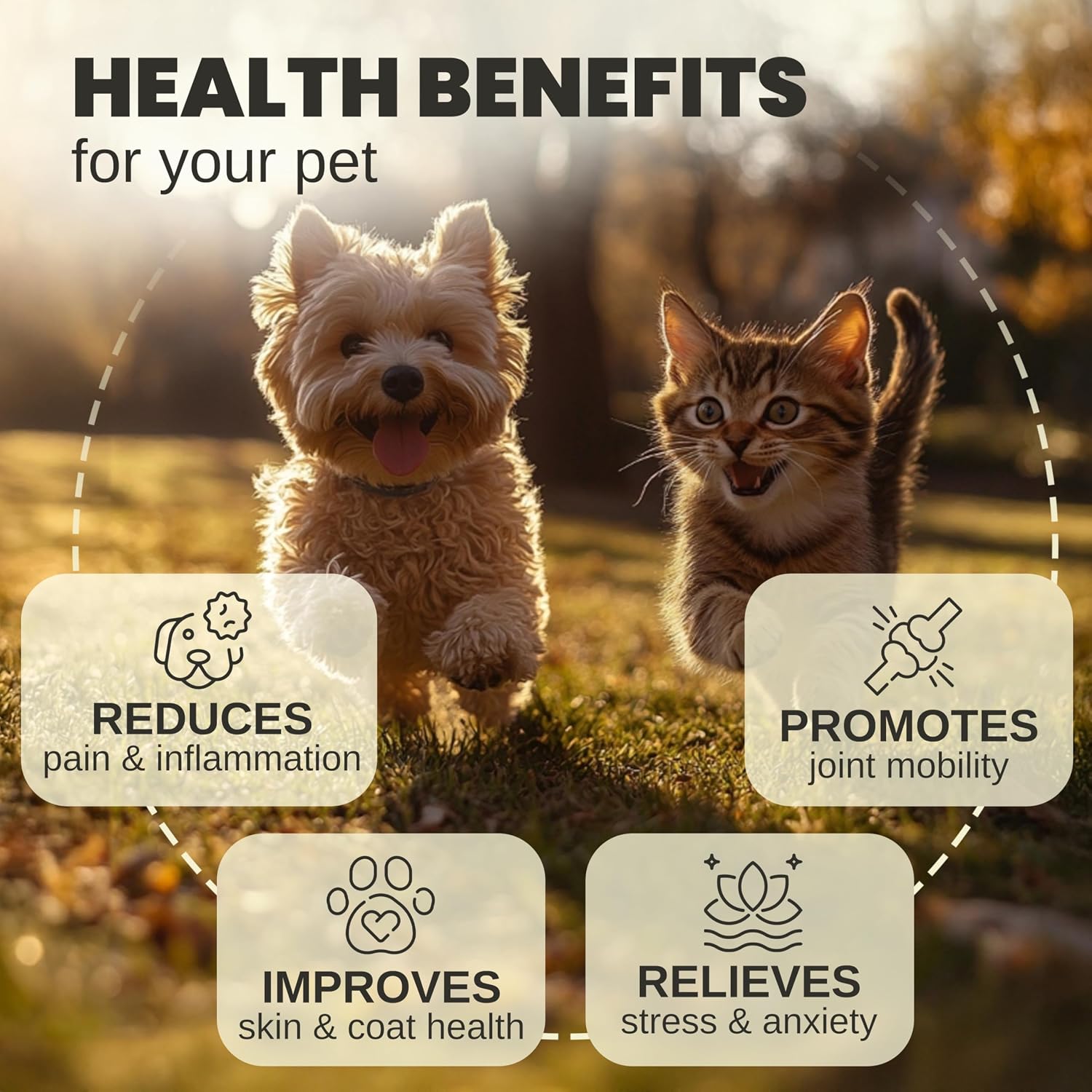 - Hemp Oil for Dogs and Cats - Helps with Anxiety, Pain, Stress, Sleep, Arthritis, Seizures Relief - Hip and Joint Support - Calming Drops Treats - Best Pet Care Store