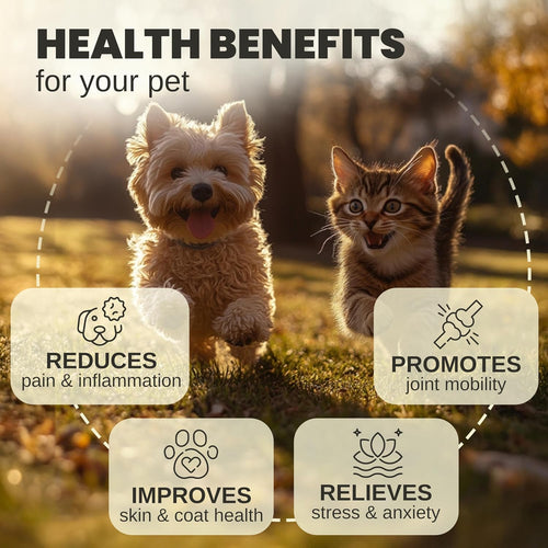 - Hemp Oil for Dogs and Cats - Helps with Anxiety, Pain, Stress, Sleep, Arthritis, Seizures Relief - Hip and Joint Support - Calming Drops Treats - Best Pet Care Store