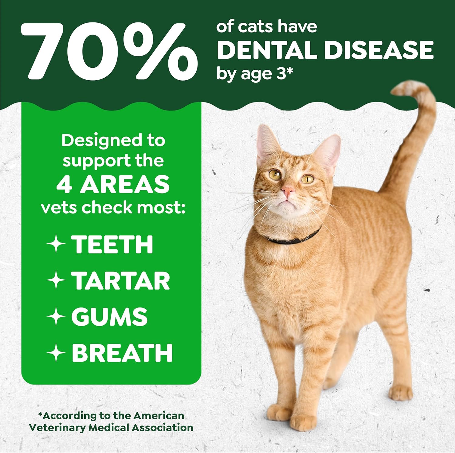 Greenies Feline Dental Cat Treats – Oven Roasted Chicken, Vet-Recommended, 21oz Tub - Best Pet Care Store