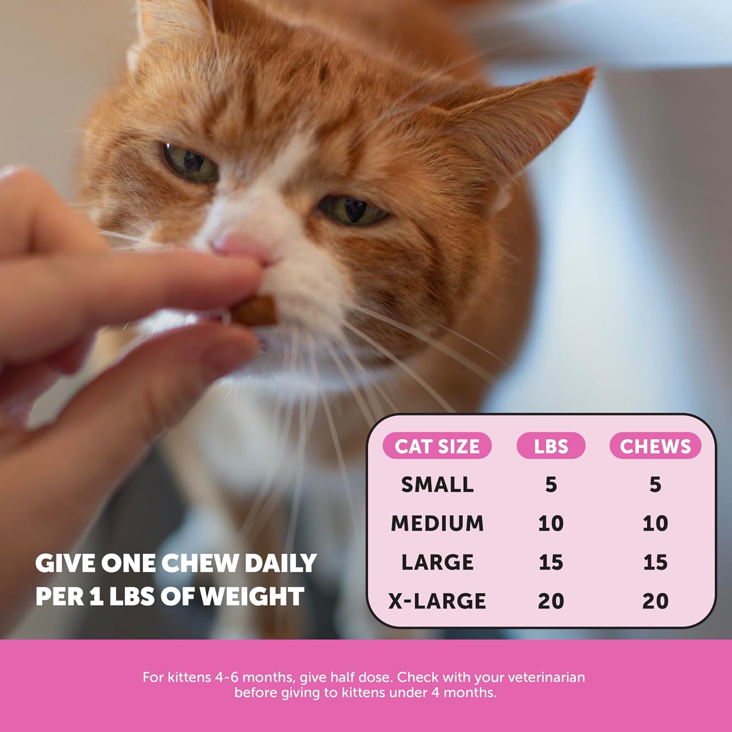 Cat Multivitamin Crunchy Creamy Chews - Daily Cat Vitamins with Lysine, Prebiotics, Omega 3 Fish Oil - Cat Treats for Immune Support, Skin Coat, Digestion, Heart + Joint Health (30-Day Supply) - Best Pet Care Store