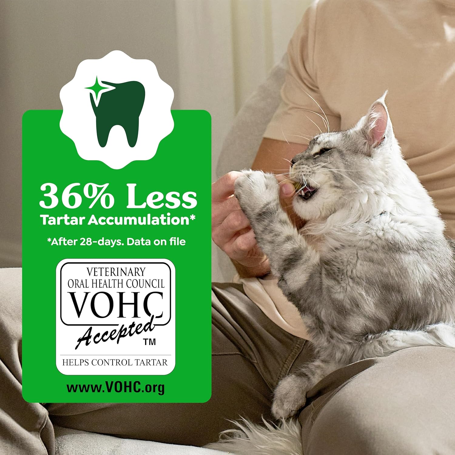 Greenies Feline Dental Cat Treats – Oven Roasted Chicken, Vet-Recommended, 21oz Tub - Best Pet Care Store