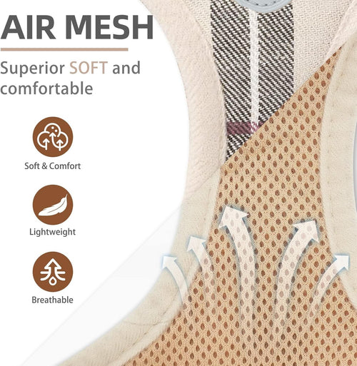 Adjustable Step-In Dog Harness, Collar & Leash Set – Soft Mesh Reflective Vest for Small Dogs & Cats, Beige S - Best Pet Care Store