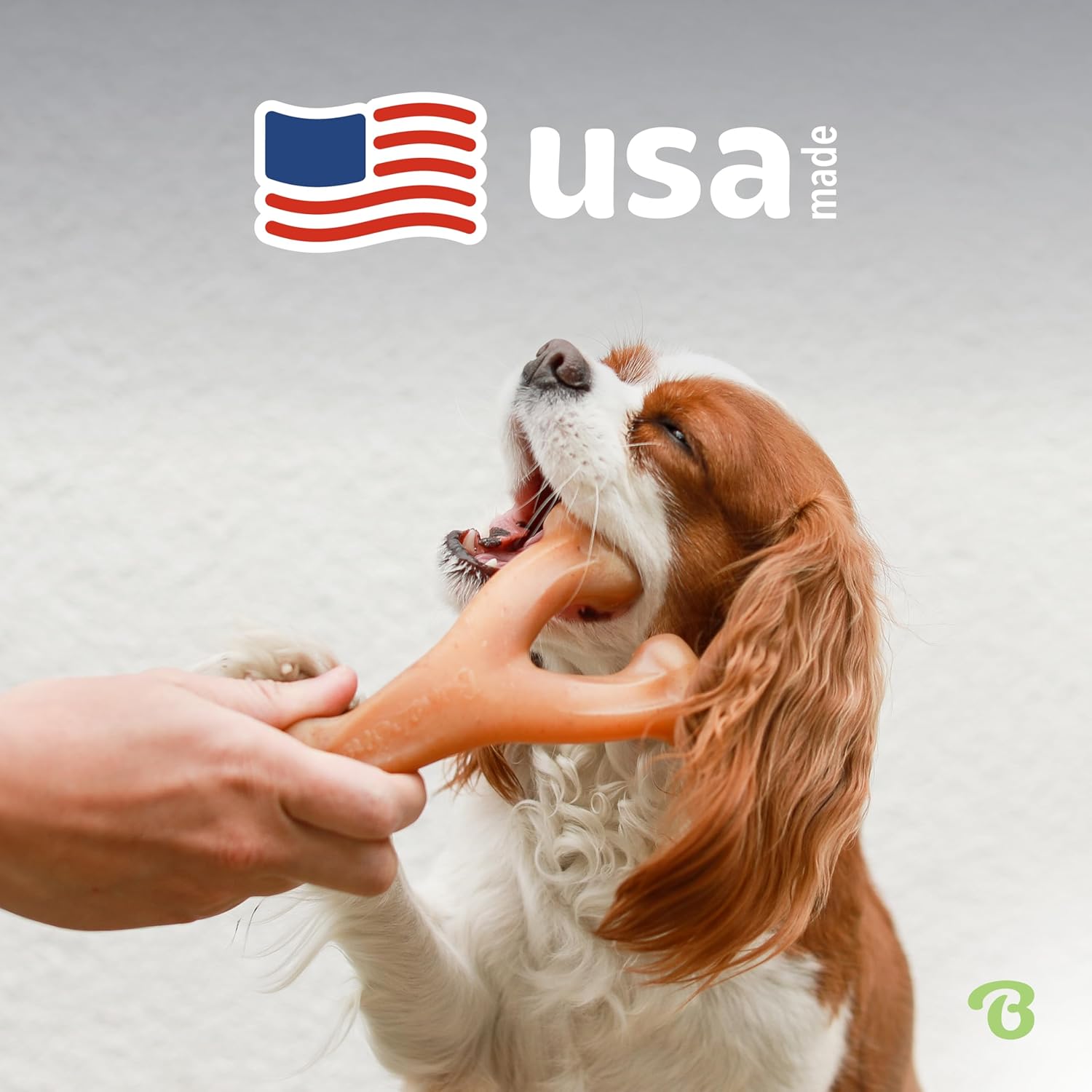Wishbone Durable Dog Chew Toy for Aggressive Chewers, Real Bacon, Made in USA, Medium - Best Pet Care Store
