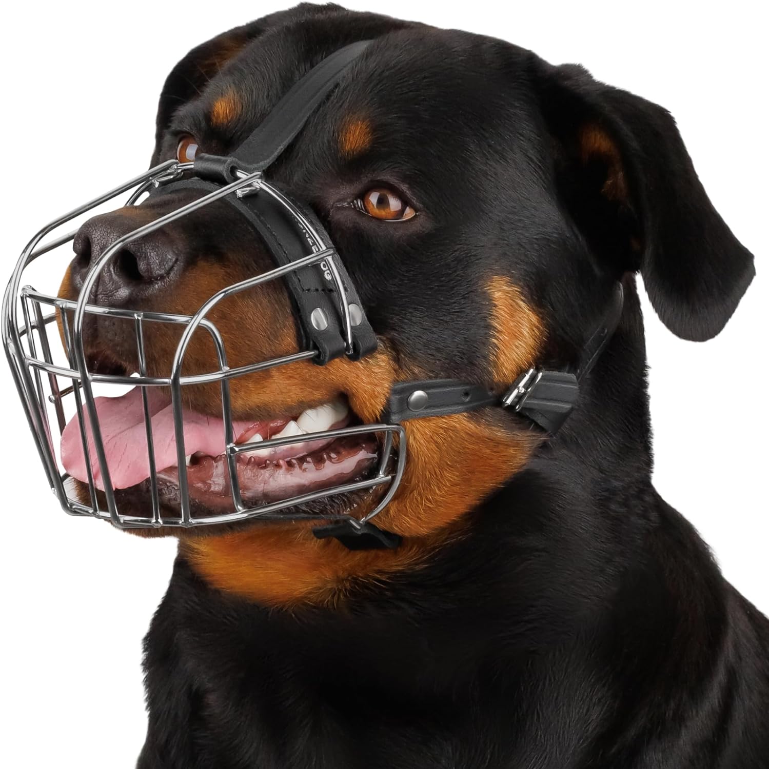 Dog Muzzle Adjustable Durable Metal Wire Basket for Large and Extra Large Dogs with Leather Straps Breathable, Drinkable, Training, Prevents Biting (Stainless Steel, Rottweiler) - Best Pet Care Store