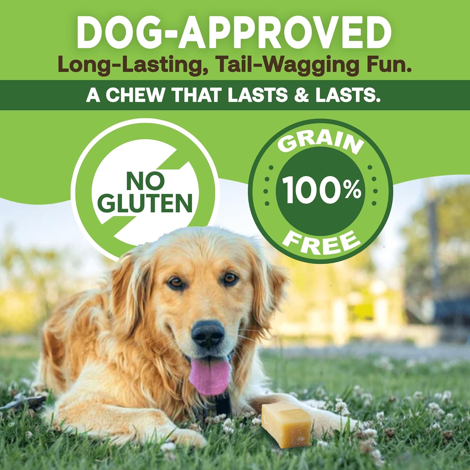 Ecokind Yak Cheese Himalayan Dog Chews, Yak Chews for Large Dogs, Long Lasting Bone for Aggressive Chewers, 3 Ingredient Natural High Protein Dog Treat, No Additives or Lactose, Large - 4 Chews (1 Lb) - Best Pet Care Store