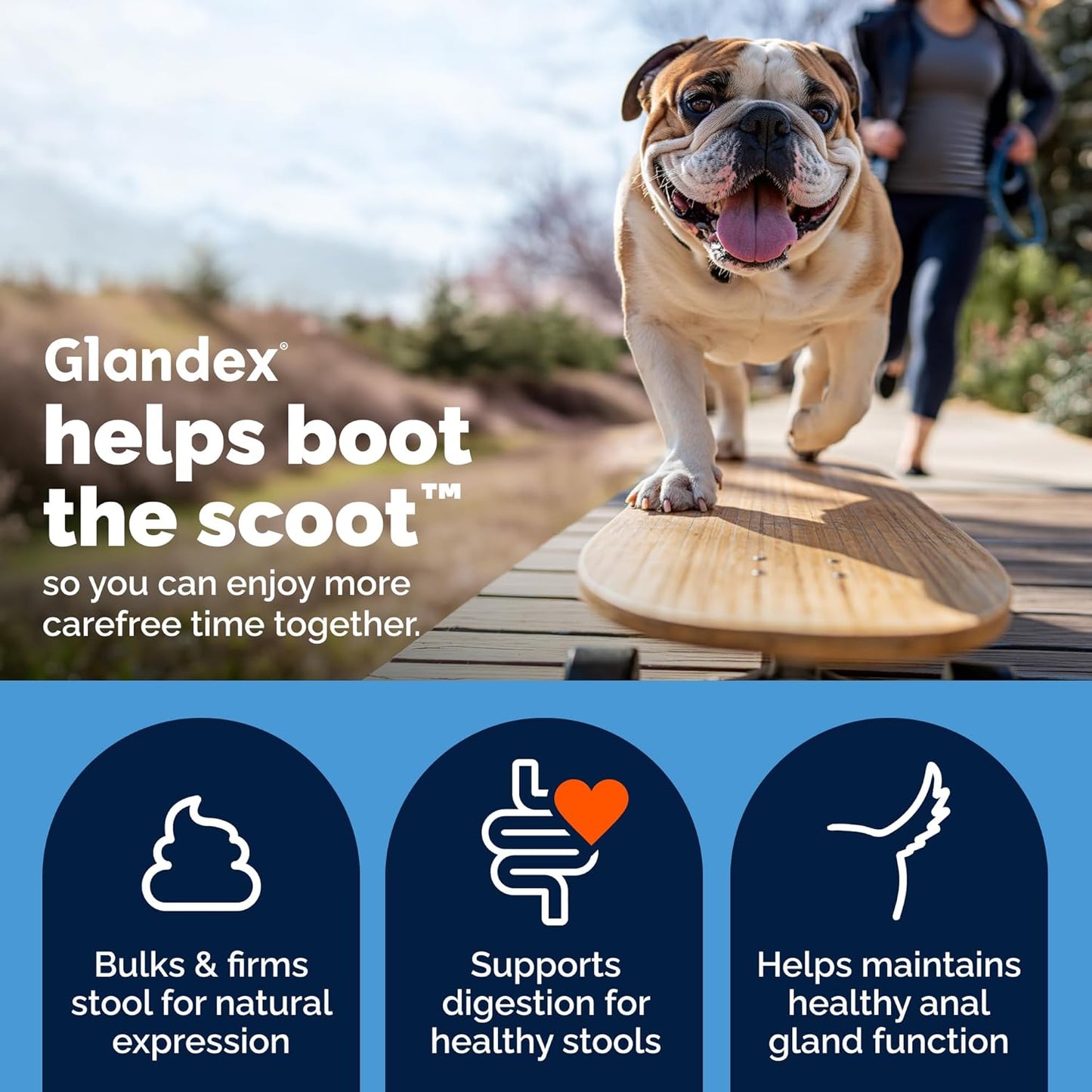 Glandex Anal Gland Soft Chew Treats with Pumpkin for Dogs Digestive Enzymes, Probiotics Fiber Supplement for Dogs Boot the Scoot (Peanut Butter Chews, 60 Count) - Best Pet Care Store