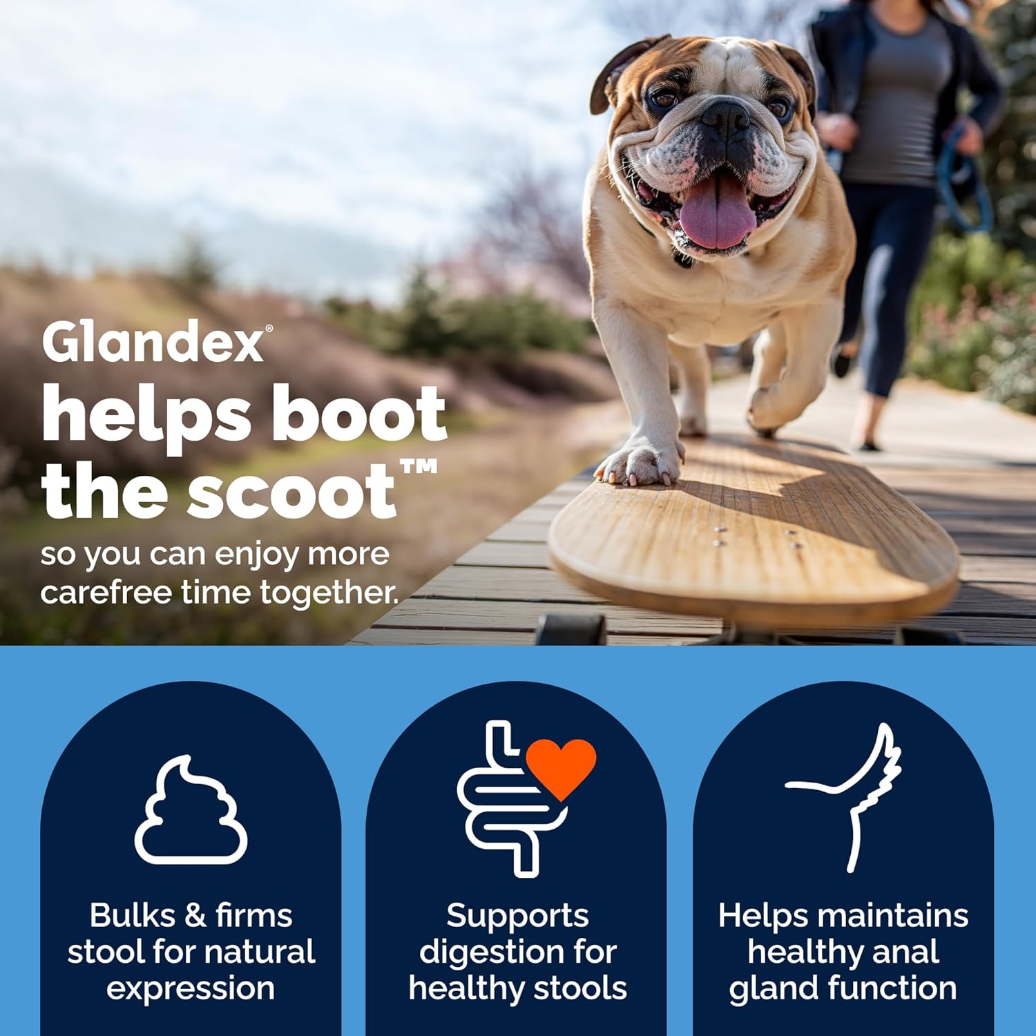 Glandex Anal Gland Soft Chew Treats with Pumpkin for Dogs Digestive Enzymes, Probiotics Fiber Supplement for Dogs Boot the Scoot (Peanut Butter Chews, 60 Count) - Best Pet Care Store