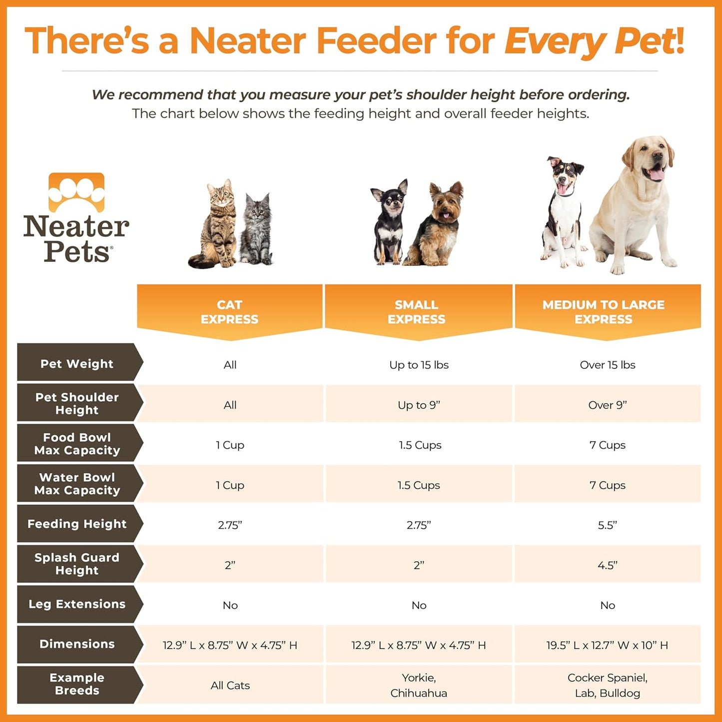 Express Mess Proof Dog Bowls Elevated for Small Breeds under 15 Lb, Made in USA, No Spill Raised Dog Food Bowl Stand, Stainless Steel Food and Water Bowl Set, Feeding Station, Cappuccino - Best Pet Care Store