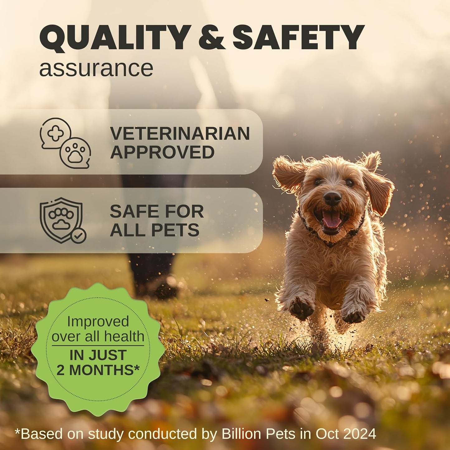 - Hemp Oil for Dogs and Cats - Helps with Anxiety, Pain, Stress, Sleep, Arthritis, Seizures Relief - Hip and Joint Support - Calming Drops Treats - Best Pet Care Store