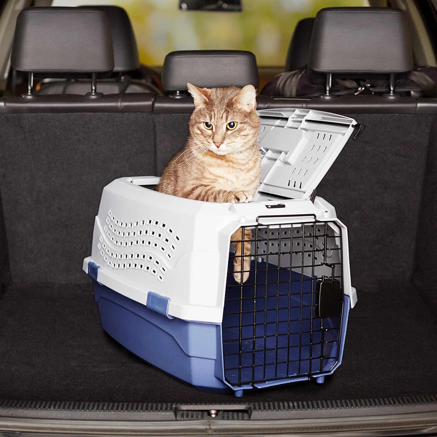 Sturdy Portable 2-Door Top-Load Hard-Sided Pet Travel Carrier with Secure Ventilation, Handle, Front & Top Entry for Dogs, Cats, 22.8"L X 15"W X 13"H, Gray & Blue - Best Pet Care Store