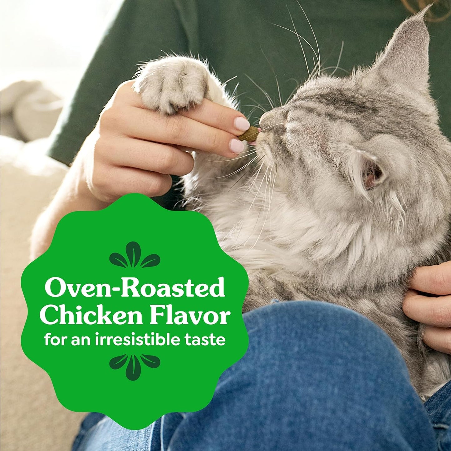 Greenies Feline Dental Cat Treats – Oven Roasted Chicken, Vet-Recommended, 21oz Tub - Best Pet Care Store