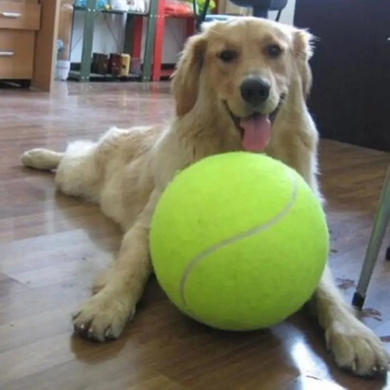 Giant Dog Tennis Ball – 7, 8 & 9.5 Inch Sizes for Large Dogs - Best Pet Care Store