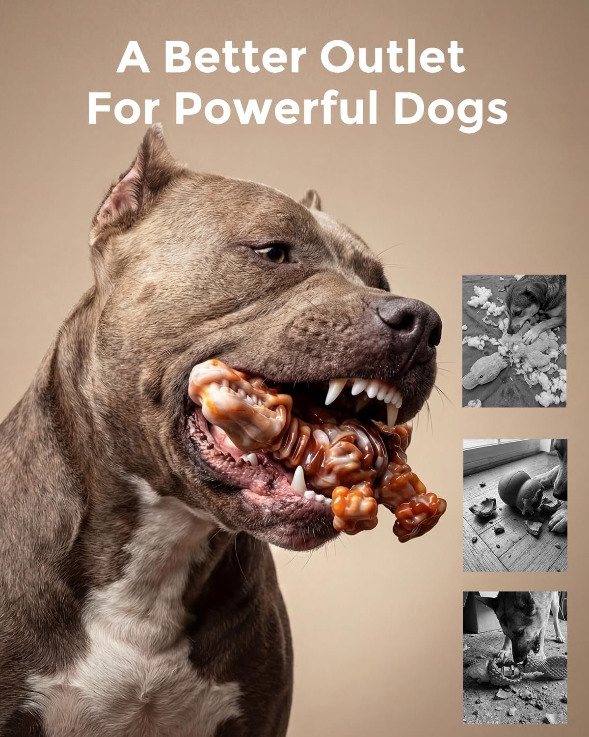 Dinobone 2-Pack Nylon Dog Chew Toys – Tough Bones for Aggressive Chewers, Bacon Flavor - Best Pet Care Store