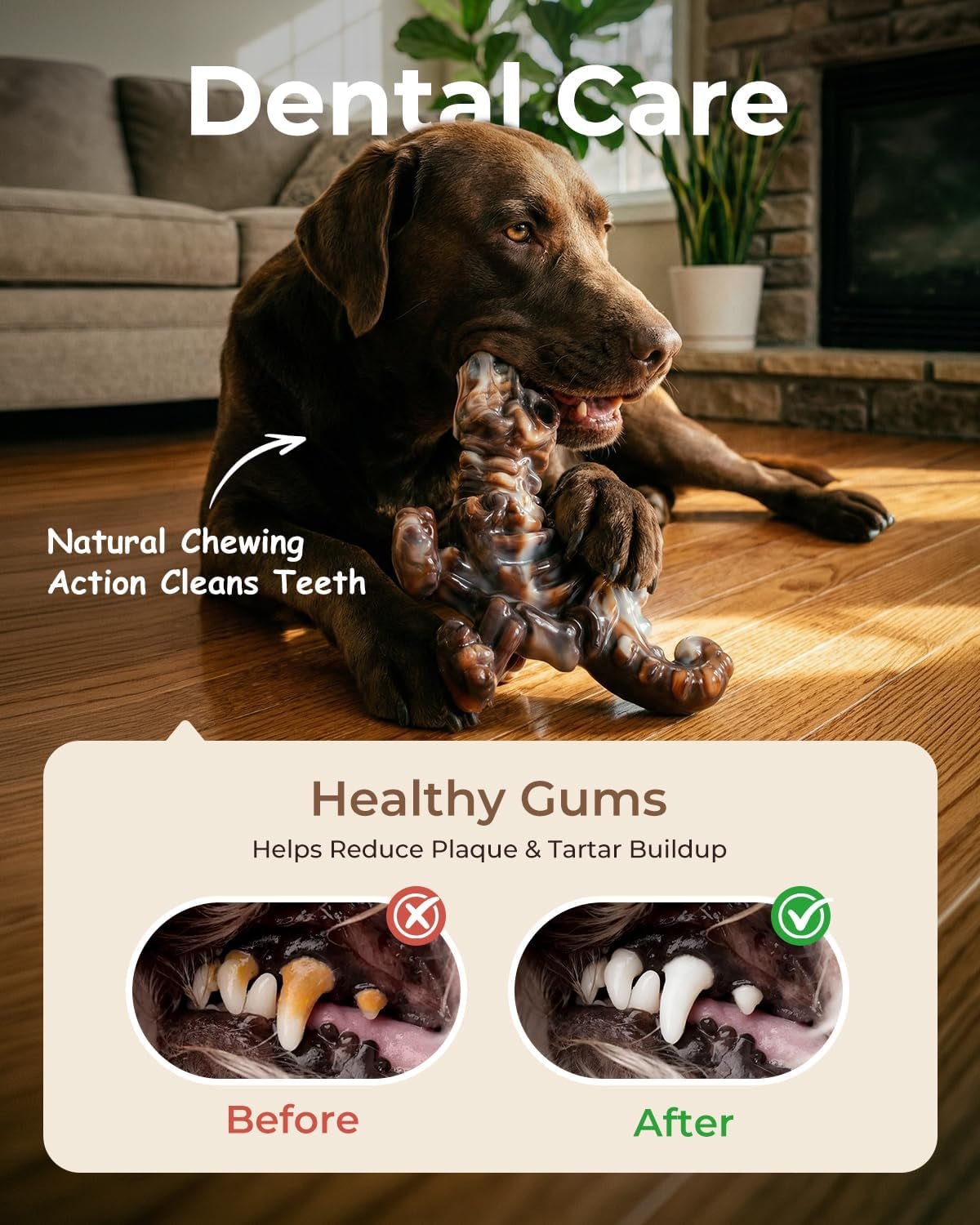 Dinobone 2-Pack Nylon Dog Chew Toys – Tough Bones for Aggressive Chewers, Bacon Flavor - Best Pet Care Store